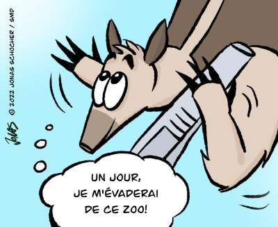 Bosco et Plume BD 16 Image 2