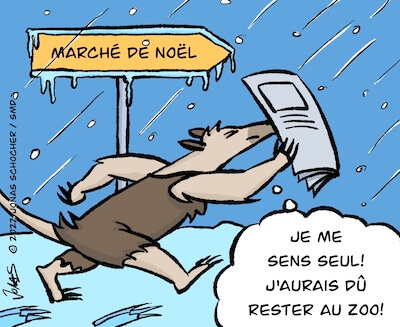 Bosco et Plume BD 24 image 1
