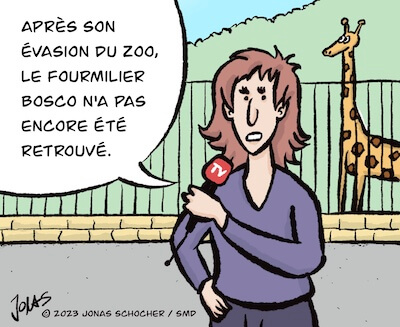 Bosco et Plume BD 27 Image 1