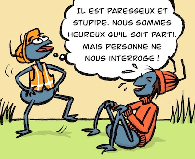 Bosco et Plume BD 27 Image 3