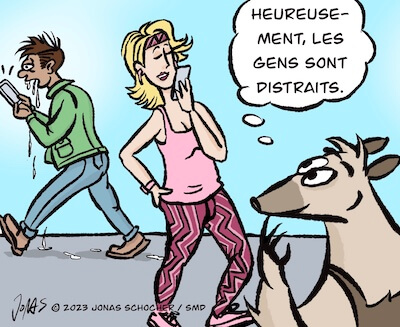 Bosco und Meisi Comic 28 Bild 3