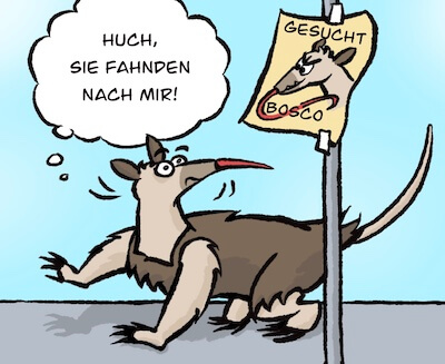 Bosco und Meisi Comic 28 Bild 1