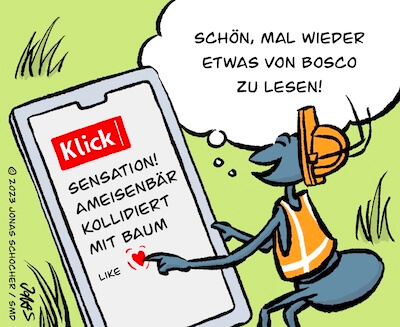 Bosco und Meisi Comic 30 Bild 3