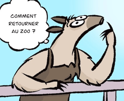 Bosco und Meisi Comic 33 Bild 2