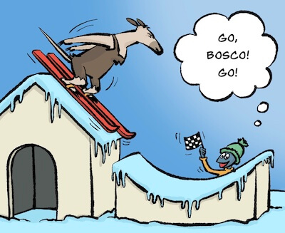 Bosco und Meisi Comic 43 Bild 2