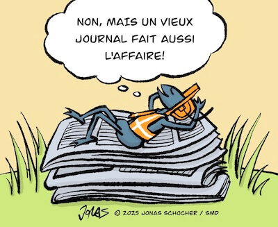 Bosco und Meisi Comic 46 Bild 2