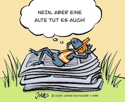Bosco und Meisi Comic 46 Bild 2