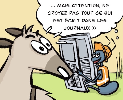Bosco und Meisi Comic 47 Bild 3