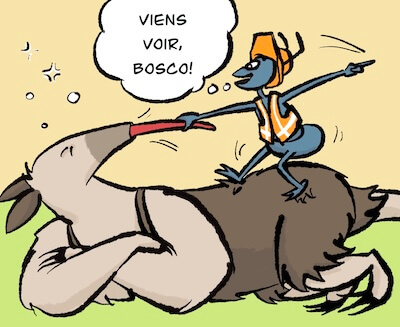 Bosco und Meisi Comic 49 Bild 1