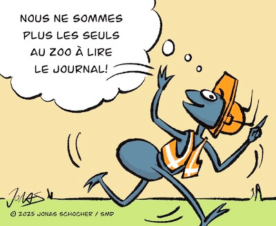 Bosco und Meisi Comic 49 Bild 2