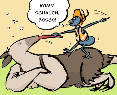 Bosco und Meisi Comic 49 Bild 1