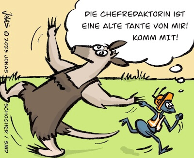 Bosco und Meisi Comic 51 Bild 2
