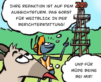 Bosco und Meisi Comic 51 Bild 3