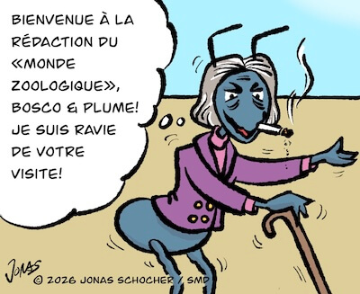 Bosco und Meisi Comic 52 Bild 1