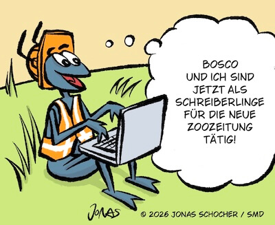 Bosco und Meisi Comic 53 Bild 1