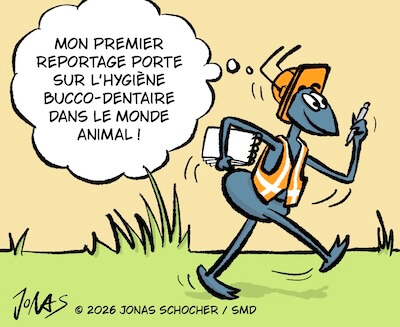 Bosco und Meisi Comic 54 Bild 1