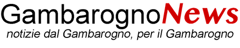 Logo Gambarogno News
