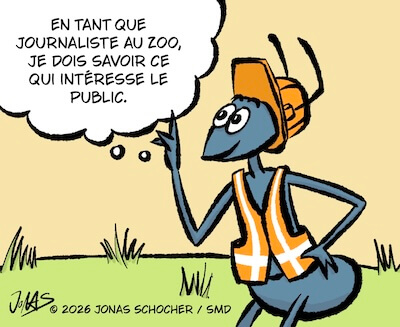 Bosco und Meisi Comic 55 Bild 1