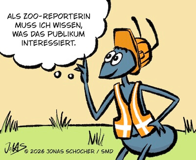 Bosco und Meisi Comic 55 Bild 1
